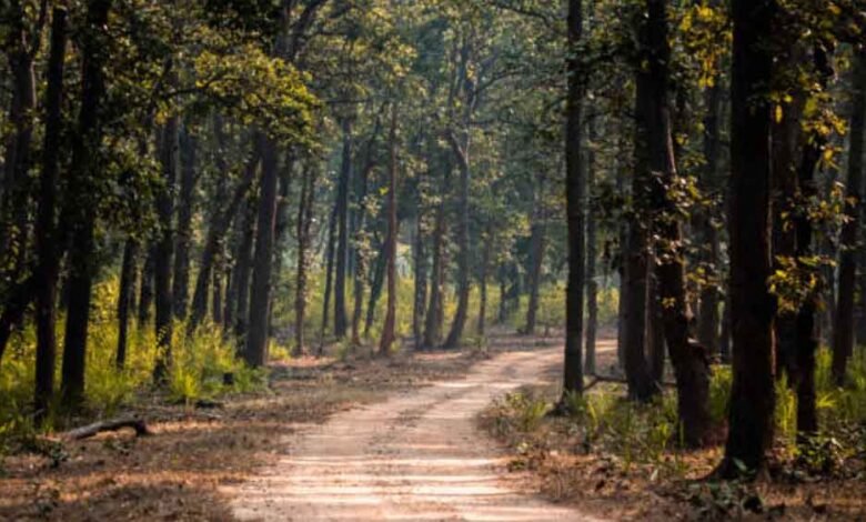 सीएजी रिपोर्ट ने खोल दी पोल, पैसा था वन संरक्षण के लिए और खरीदी गई लैपटॉप-टैबलेट के साथ कई अन्य चीजें 1 KSHITITECH utrakhand1 KSHITITECH