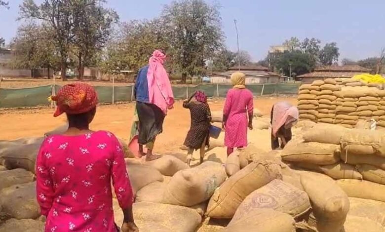 पैसों का लालच देकर स्कूली छात्राओं से कराई हमाली 1 KSHITITECH 1 83 KSHITITECH