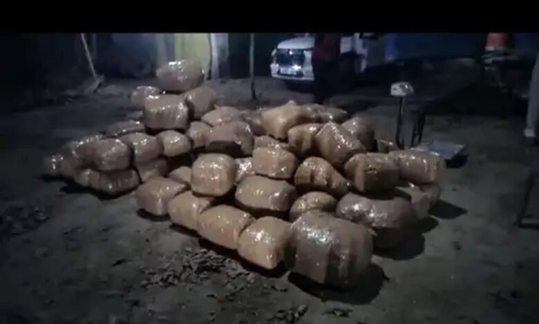छत्तीसगढ़ में एक करोड़ कीमत का 500 किलो गांजा जब्त: कंटेनर में टेप में लिपटे मिले कई पैकेट 1 KSHITITECH 18A 52 KSHITITECH