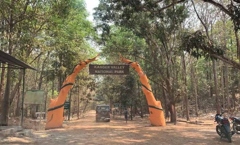 राज्य का पहला पर्यटन स्थल जिसे यूनेस्को ने कांगेर घाटी राष्ट्रीय उद्यान को टेंटेटिव वर्ल्ड हेरिटेज लिस्ट में जोड़ा 1 KSHITITECH 2 189 KSHITITECH