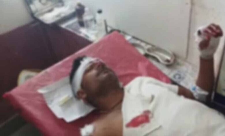 किसान पर शेर ने किया हमला, सिर, कंधे और हाथ में आई गंभीर चोट 1 KSHITITECH 2 68 KSHITITECH
