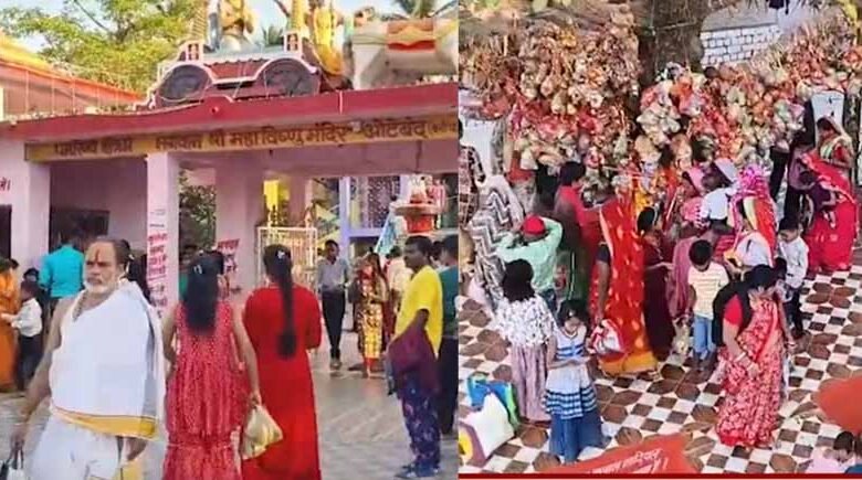 कदंब के वृक्ष की अनोखी लीला, हर मन्नत होती है पूरी 1 KSHITITECH 3 127 KSHITITECH