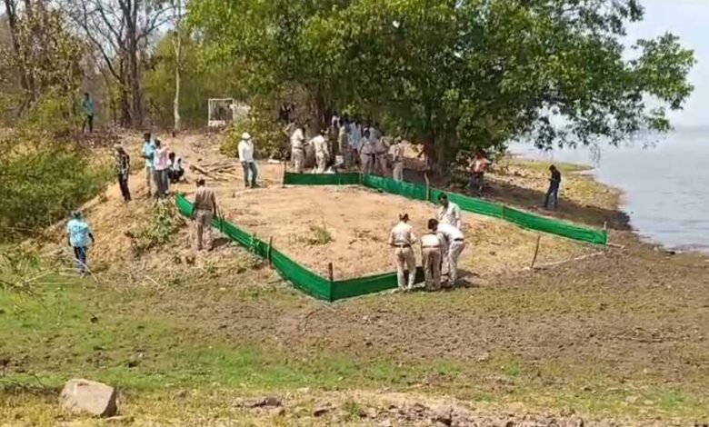 जलाशय में मिला भालू का शव, बिना पोस्टमार्टम के दफनाया, फॉरेस्ट गार्ड और डिप्टी रेंजर को शो कॉज नोटिस जारी 24 घंटे के भीतर मांगा जवाब 1 KSHITITECH 3 250 KSHITITECH
