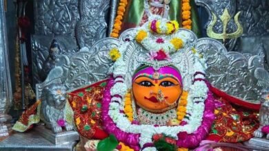 mata ji Console Corptech Pradakshina Consulting Pvt Ltd