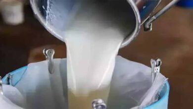 milk 3 4 KSHITITECH