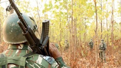 naxalites1 1 Console Corptech Pradakshina Consulting Pvt Ltd