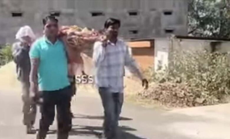 दमोह के फुटेरा तालाब के समीप शव यात्रा में मधुमक्खियों का हमला, शव छोड़कर भागे लोग 1 KSHITITECH sav1 KSHITITECH