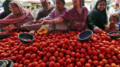 tomatoe 56 2 Console Corptech Pradakshina Consulting Pvt Ltd