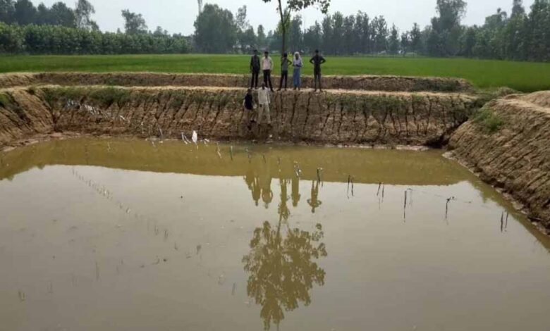 MP सरकार ने सभी ग्राम पंचायतों को ई-ग्राम पंचायत के रूप में विकसित करने का निर्णय लिया: मंत्री पटेल 1 KSHITITECH 17A 10 1 KSHITITECH