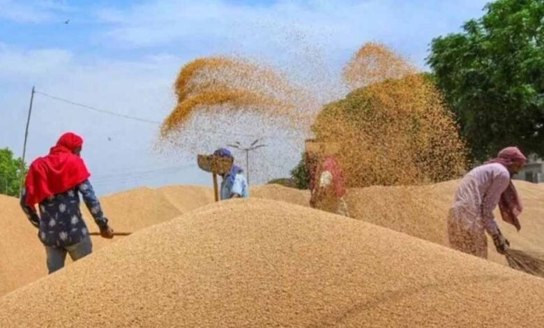 समर्थन मूल्य केंद्रों पर किसानों की गेहूं बेचने की होड़, एक माह की खरीदी में ही सीहोर ने नया रिकॉर्ड बनाया 1 KSHITITECH 17A 47 KSHITITECH