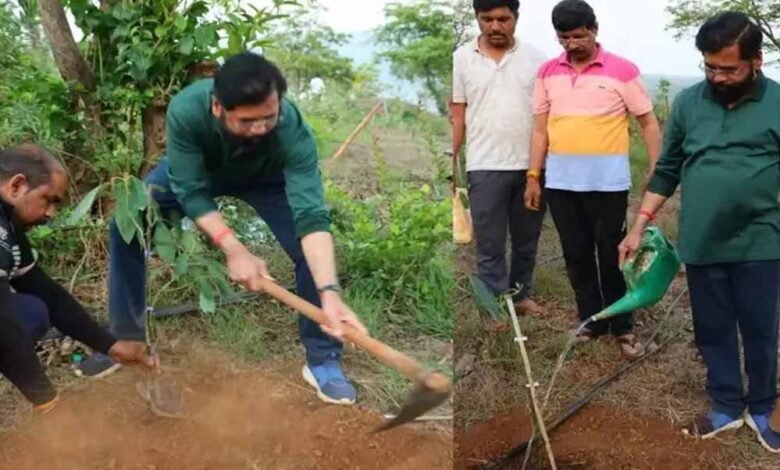 अपने गांव में किसान बने एकनाथ शिंदे, इस बार लगाया विदेशी पौधा, जानें इसके फायदे 1 KSHITITECH 21A 103 1 KSHITITECH