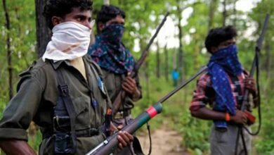 NAXAL PRABHAVIT1 Console Corptech Pradakshina Consulting Pvt Ltd
