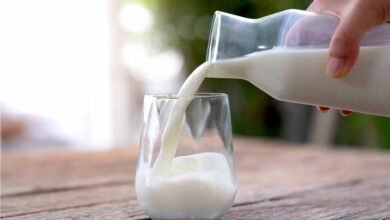 milk 3 1 Console Corptech Pradakshina Consulting Pvt Ltd