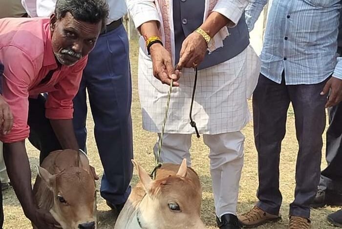 पशुपालन राज्य मंत्री पटेल ने किया पुंगनूर संरक्षण एवं अनुसंधान केन्द्र, पालमनेर का भ्रमण 1 KSHITITECH patel 5 KSHITITECH
