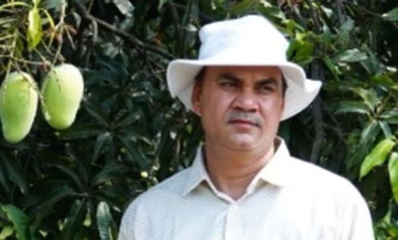 देश-विदेश में अपनी महक और स्वाद से लोगों को दीवाना बनाने वाला सुंदरजा आम इस बार खुद मौसम के फेर में उलझा 1 KSHITITECH sundarja KSHITITECH