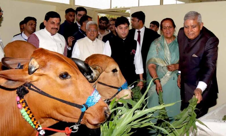 उप राष्ट्रपति श्री धनखड़ ने मध्यप्रदेश में गौ-संरक्षण के क्षेत्र में हो रहे प्रयासों को सराहा 1 KSHITITECH 5A1 KSHITITECH