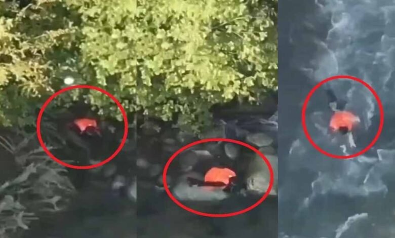 दहशतगर्द को खाना और ठिकाना देने का लगा था आरोप, शख्स ने नदी में कूदकर दे दी जान 1 KSHITITECH 5A34 KSHITITECH