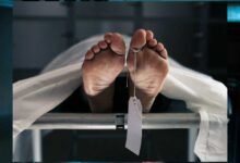 dead 2 3 Console Corptech Pradakshina Consulting Pvt Ltd