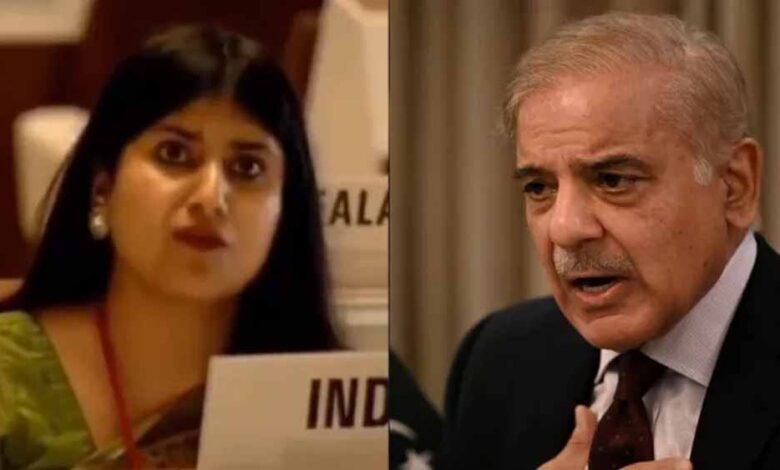 विश्व स्वाथ्य संगठन के मंच से भी भारत ने पाकिस्तान की लगा दी क्लास, WHO में PAK कर रहा था चालाकी 1 KSHITITECH indo1 KSHITITECH