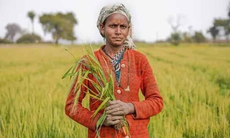 पीएम मोदी की अध्यक्षता में कैबिनेट ने वित्त वर्ष 2025-26 के लिए किसानों के ऋणों पर ब्याज सब्सिडी को मंजूरी दी 1 KSHITITECH kisan1 5 KSHITITECH