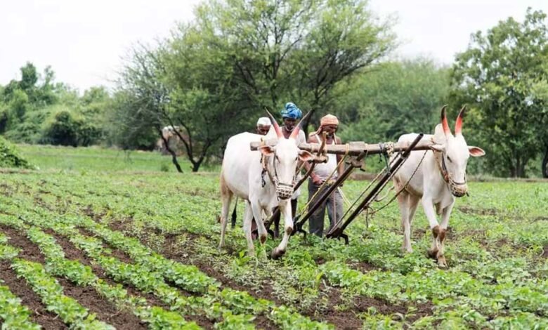 डिजिटल हस्ताक्षर करते ही भुगतान हो गया फेल, मैहर में टेक्निकल एरर से किसानों के 150 करोड़ अटके 1 KSHITITECH kisan2 2 KSHITITECH
