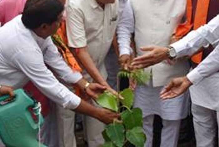 वर्तमान समय में मौसम के बदलते स्वरूप के लिए पेड़ लगाना अत्यंत आवश्यक है: राज्यपाल पटेल 1 KSHITITECH patel2 6 KSHITITECH