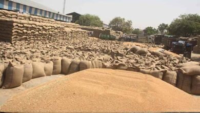 wheat A 45 6 Console Corptech Pradakshina Consulting Pvt Ltd