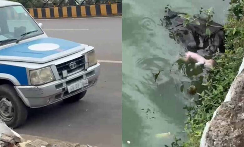 बूढ़ातालाब में नवजात का शव तैरता हुआ मिलने से मचा हड़कंप 1 KSHITITECH 1 1036 KSHITITECH