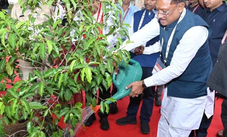 मंत्रिमंडल के सदस्यों के साथ सीएम साय ने सुशासन वाटिका में किया मौलश्री के पौधे का रोपण किया 1 KSHITITECH 1 277 KSHITITECH