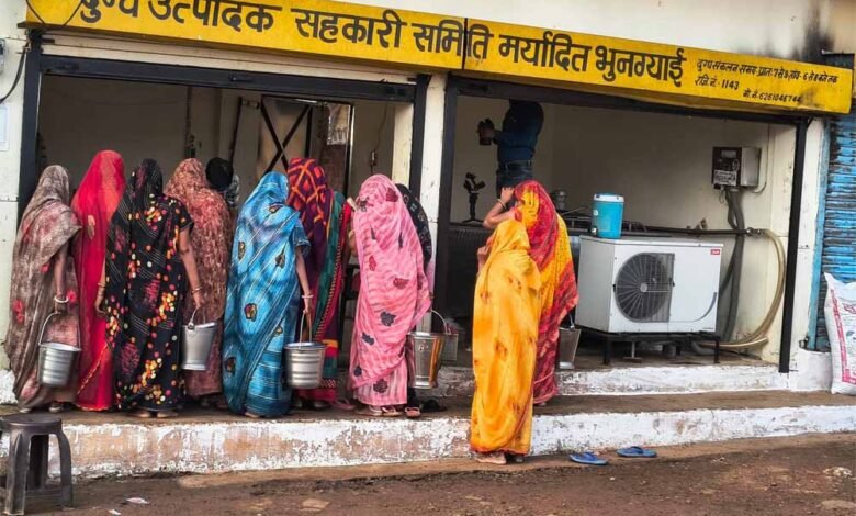 भोपाल दुग्ध संघ की दुग्ध समितियों के दुग्ध उत्पादकों से दूध क्रय दरों में की गई ऐतिहासिक वृद्धि 1 KSHITITECH 1 693 KSHITITECH