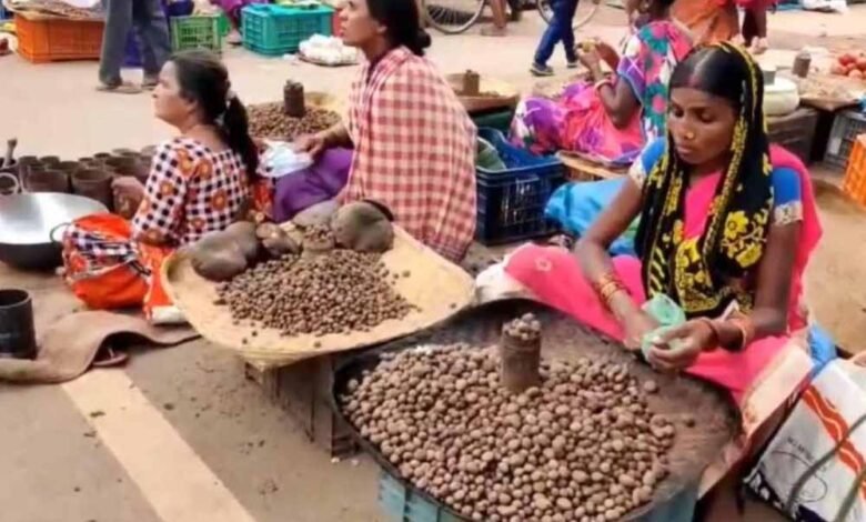 छत्तीसगढ़ में 2500, 3000 रुपये किलो बिक रहा बोड़ा 1 KSHITITECH 2 102 KSHITITECH