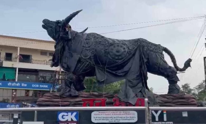चार महीने से अनावरण का इंतज़ार में राजकीय पशु वन भैंसा की प्रतिमा, मंत्री अकबर बोले - सिस्टम का उदासीन रवैय्या 1 KSHITITECH 3 298 KSHITITECH