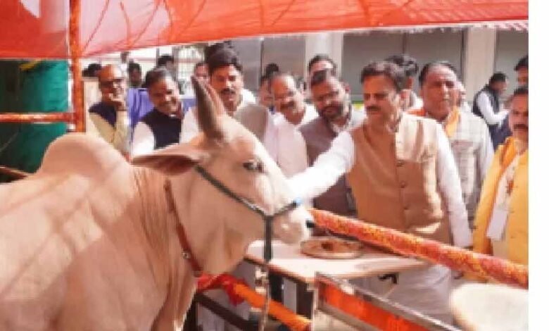 हिनौती गौधाम में दो करोड़ 67 लाख रुपए की लागत से बनाए जाने वाले 4 शेड का भूमि-पूजन किया 1 KSHITITECH cow2 KSHITITECH