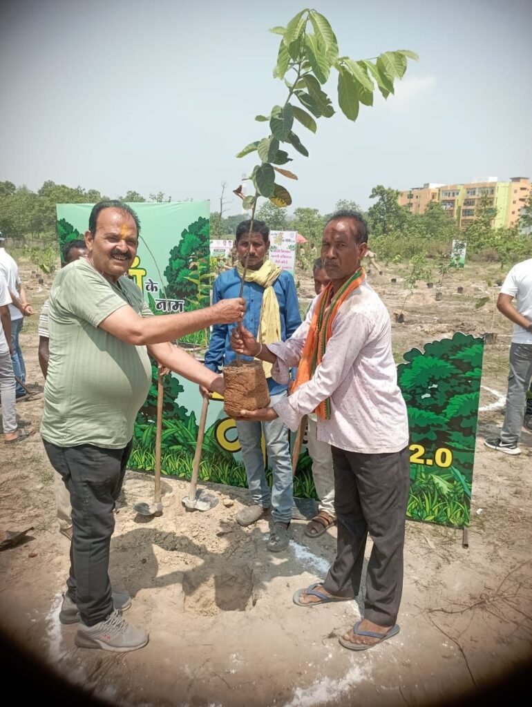 कोरबा जिला: पर्यावरण प्रेम की नई मिसाल, सेवानिवृत्त बसंत तिवारी की 'वृक्ष सेवा' 3 KSHITITECH img 20250605 wa0136281217417189999359 KSHITITECH