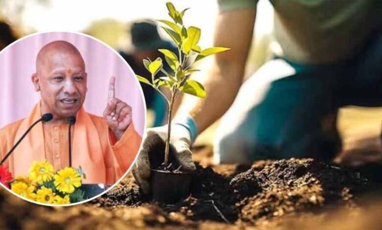 पौधरोपण अभियान अपनी मां के नाम कृतज्ञता ज्ञापित करने का मौका : मुख्यमंत्री योगी 1 KSHITITECH 2 117 KSHITITECH