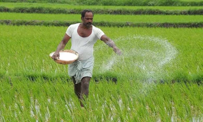 31 जुलाई तक कराले फसल बीमा, अब मात्र 2 प्रतिशत प्रीमियम दर पर करा सकेंगे बीमा 1 KSHITITECH 2 135 KSHITITECH