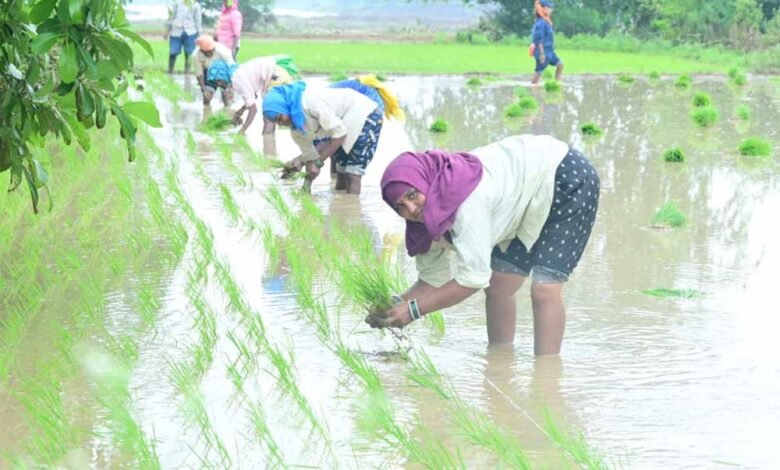 नीतिगत बदलावों से संवर रही किसानों की तकदीर: छत्तीसगढ़ बना मिसाल 1 KSHITITECH 2 324 KSHITITECH
