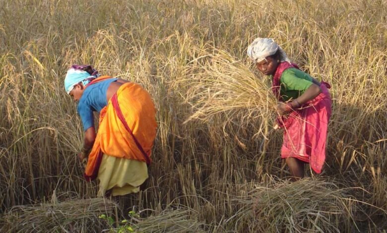छत्तीसगढ़ में किसानों की तरक्की का रास्ता सरकार की नीतियों से हुआ आसान 1 KSHITITECH 21A 14 KSHITITECH