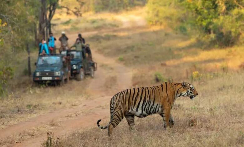 Durgavati Tiger Reserve में तीन माह तक पर्यटकों की आवाजाही बंद, शिकारियों पर रहेगी नजर, 300 से अधिक सुरक्षाकर्मी तैनात किए गए 1 KSHITITECH 7A 122 KSHITITECH