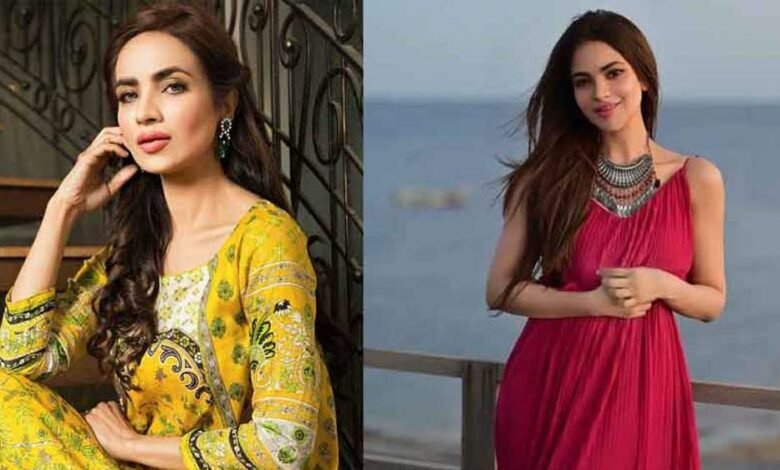 सड़ी-गली हालत में मिली PAK एक्ट्रेस की लाश, घर में 2 हफ्तों तक सड़ता रहा शव 1 KSHITITECH 9A 24 KSHITITECH