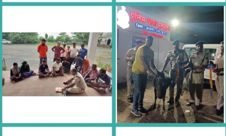 जांजगीर-चांपा पुलिस में बड़ा फेरबदल: मणिकांत पांडे नगर कोतवाल, विनोद जाटवर नैला चौकी प्रभारी 1 KSHITITECH IMG 20250720 WA0009 KSHITITECH