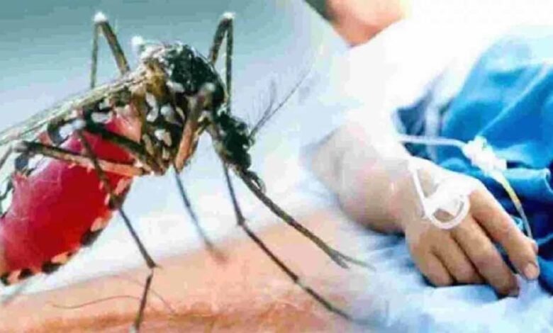 भोपाल में बीमारी का प्रकोप: डेंगू और फूड पॉयजनिंग के मरीज बढ़े, अस्पताल सतर्क 1 KSHITITECH dengu1 KSHITITECH