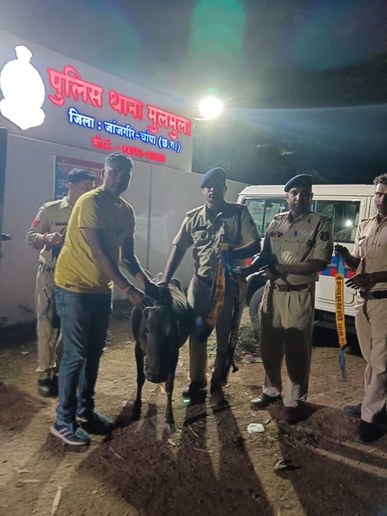 जांजगीर-चांपा पुलिस में बड़ा फेरबदल: मणिकांत पांडे नगर कोतवाल, विनोद जाटवर नैला चौकी प्रभारी 3 KSHITITECH img 20250719 wa00352277358991371093741 KSHITITECH