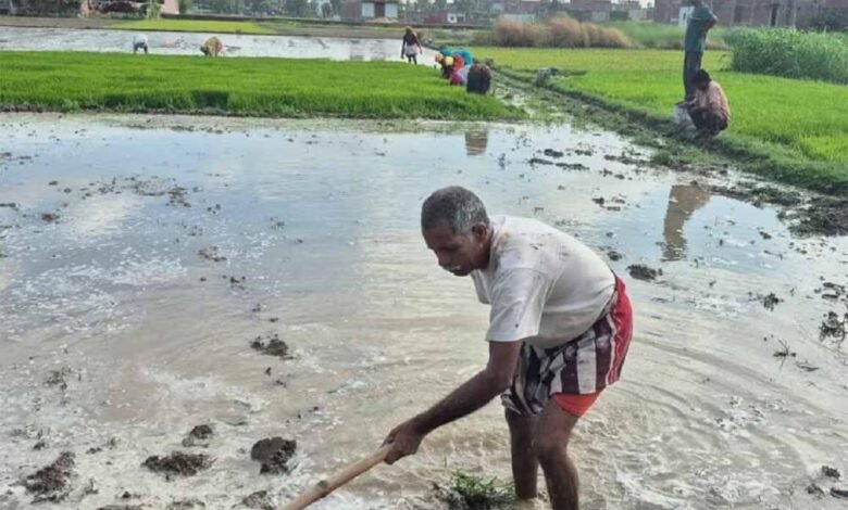 PM किसान की 20वीं किस्त जल्द, एक गलती से अकाउंट हो सकता है खाली! 1 KSHITITECH pm kisan KSHITITECH